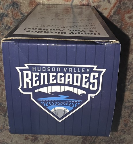 Anthony volpe renegades mlb - anthony,